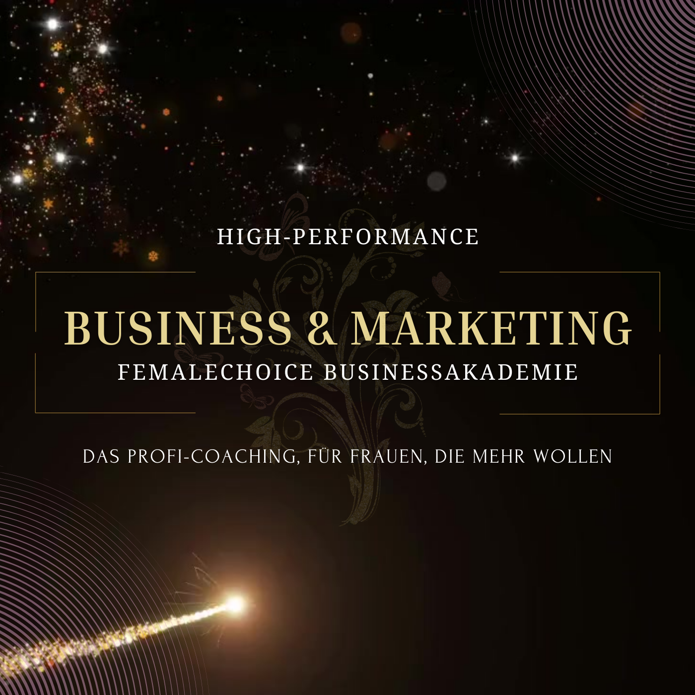 Businessgründung und Marketing - Das Profi-Coaching für Gründerinnen und Unternehmerinnen