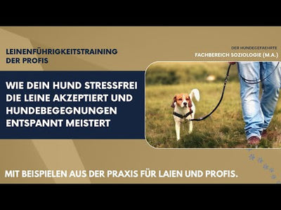 Booster-Kurs "Leinenführigkeit: Warum Hunde ziehen und wie man gewaltfrei Leinenführung umsetzt"